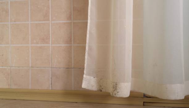 Environmental Consulting for Mold Prevention in Croswell, MI