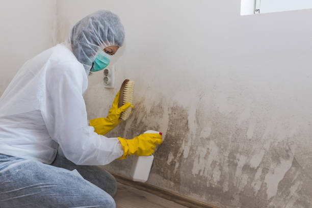 Mold Remediation for Rental Properties in Croswell, MI