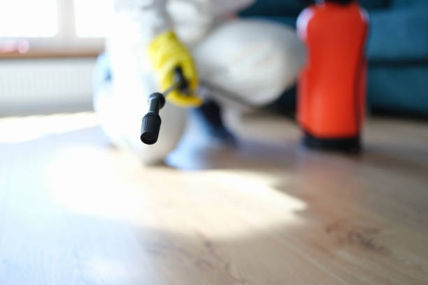 Mold Documentation for Insurance Claims in Croswell, MI